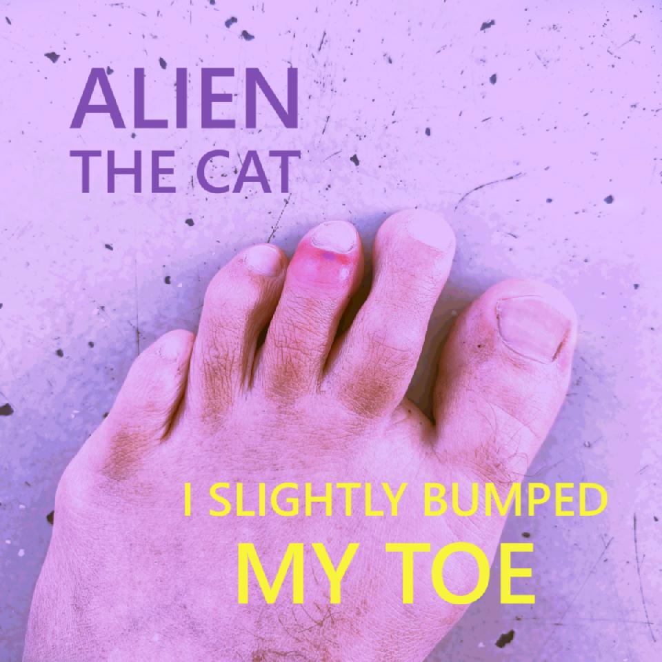 Alien The Cat - I slightly bumped my toe